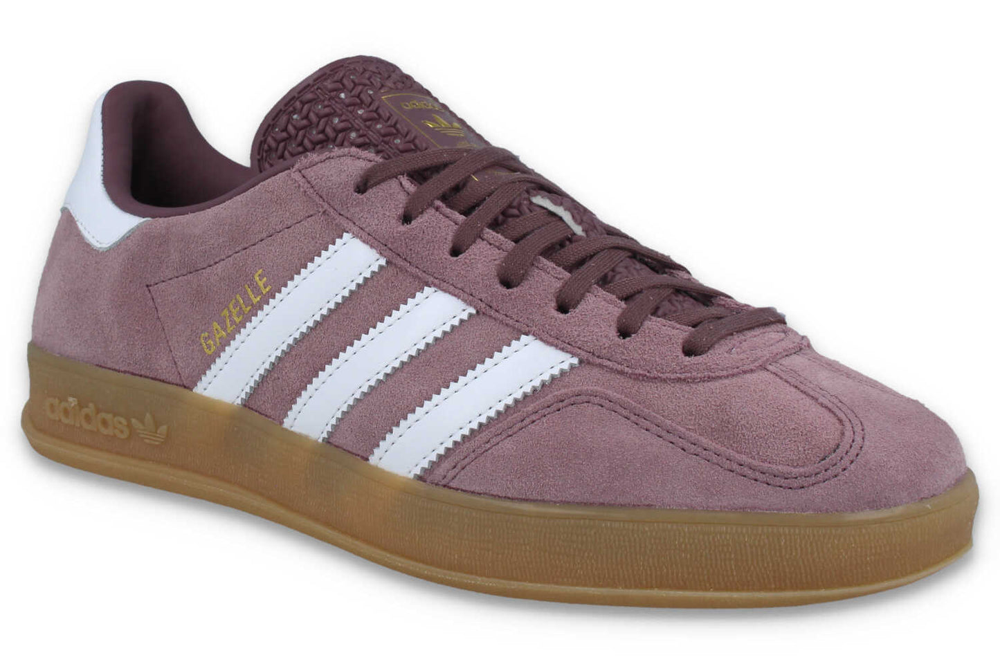 Gazelle Indoor