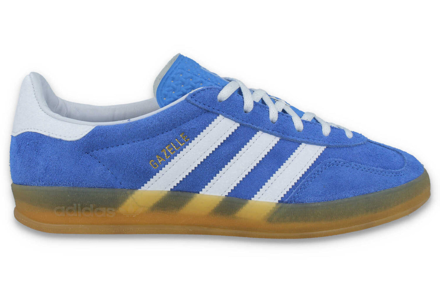 Gazelle Indoor