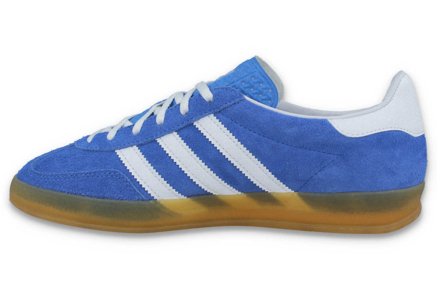 Gazelle Indoor