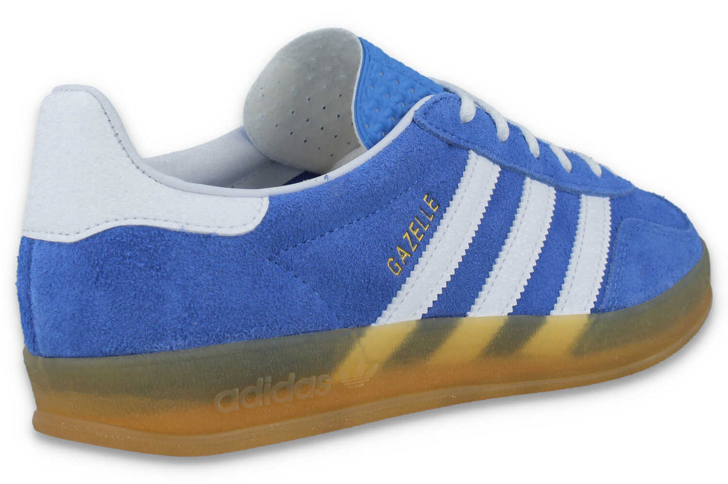 Gazelle Indoor