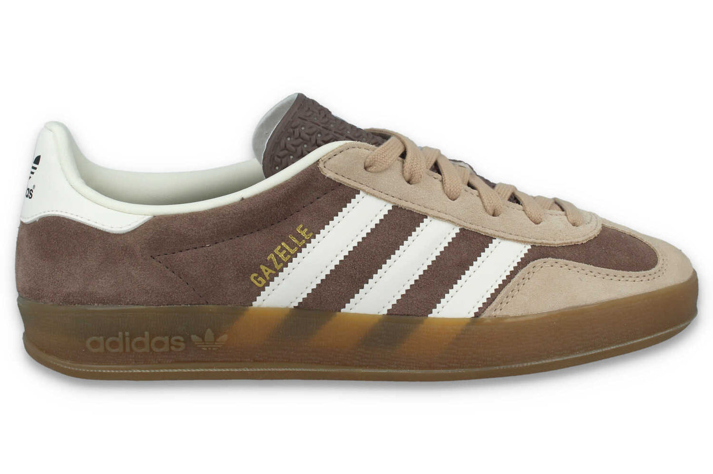 Gazelle Indoor