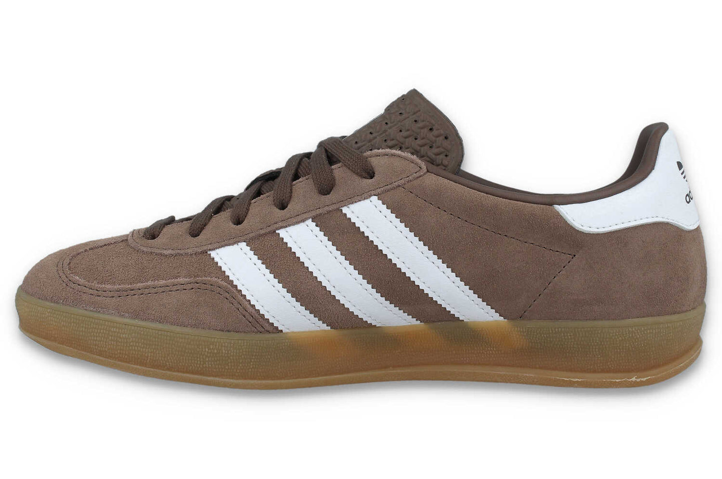 Gazelle Indoor