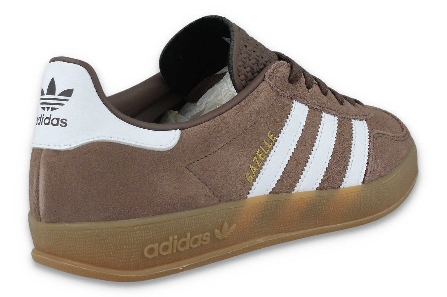 Gazelle Indoor