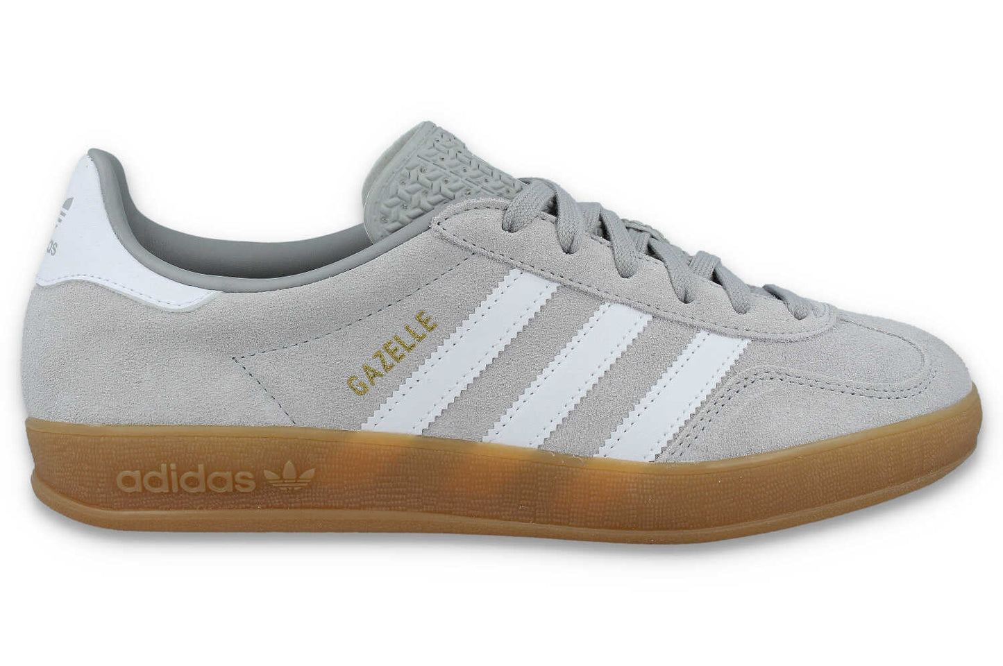 Gazelle Indoor