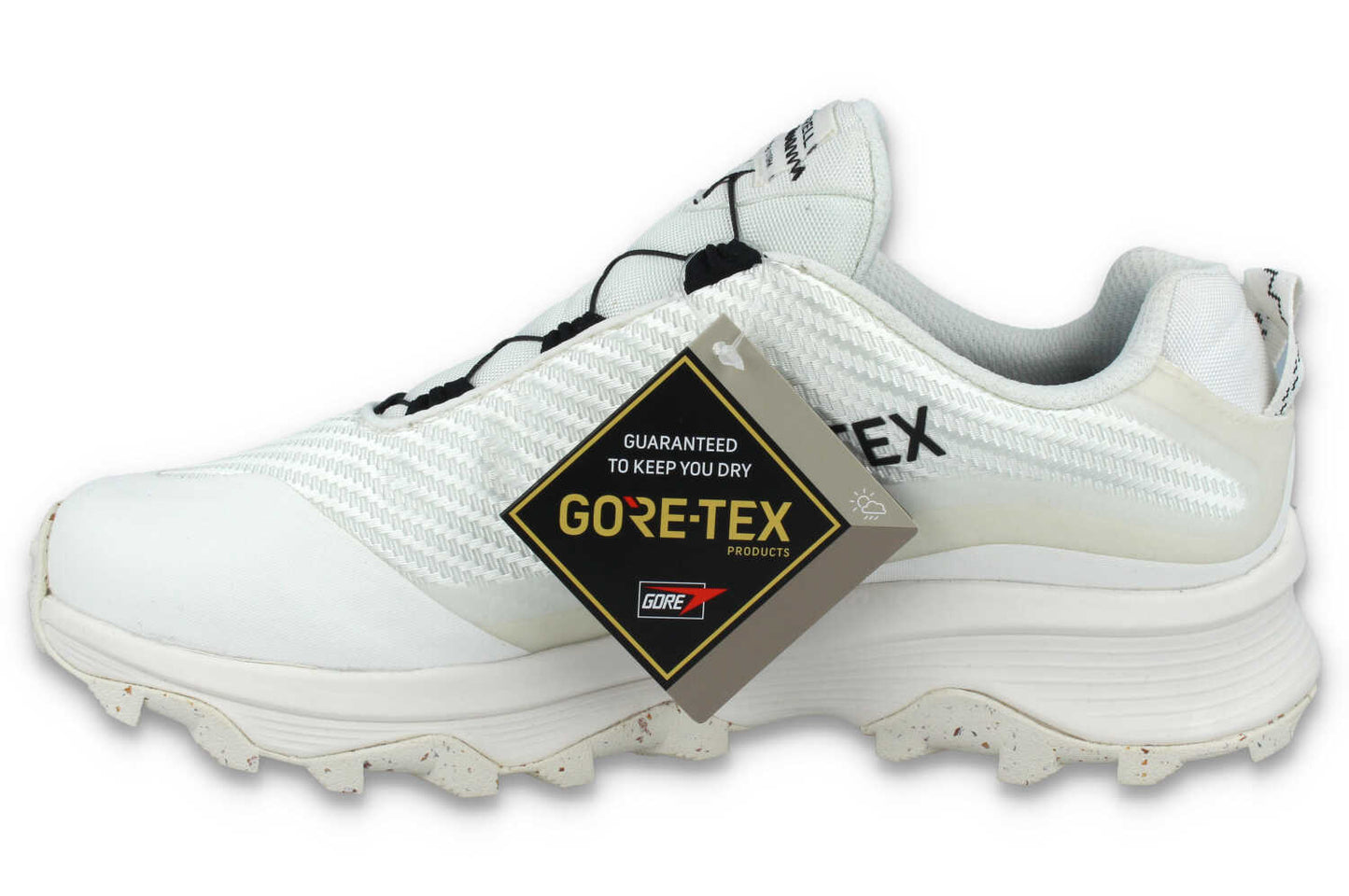 Moab Speed Storm GORE-TEX® Boa